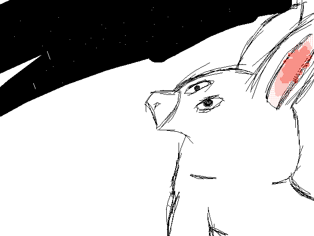 Look at the stars 🤩