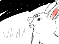 Look at the stars 🤩