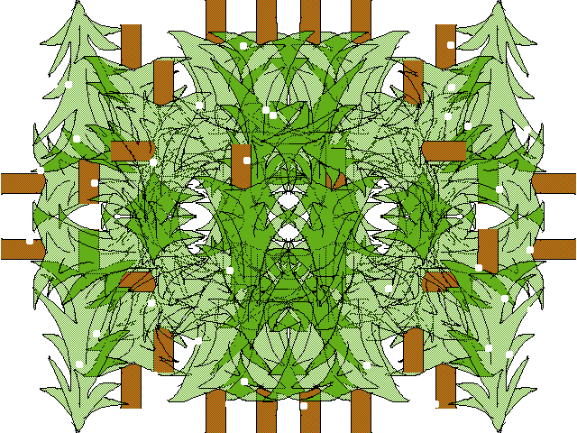 Snowing on the symetriqual forest