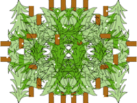 Snowing on the symetriqual forest