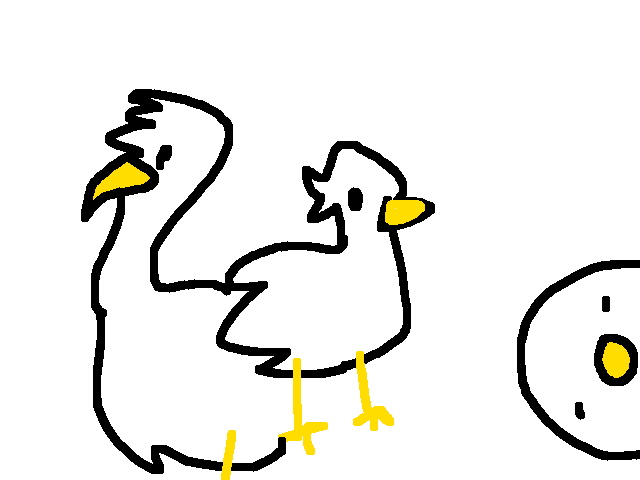 Bird bird birds
