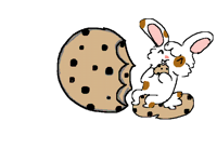 Cookie animation