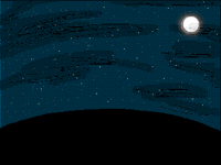 Fox in the night :3