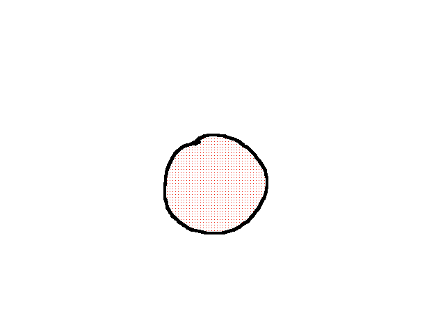 CN