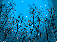 Starry night