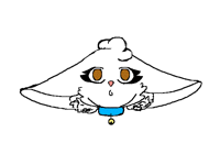 :3