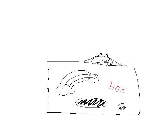 My box!