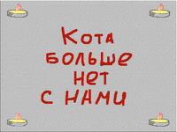 Они как-то умудрились это сделать!