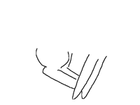 Бег
