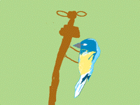 Bluebird