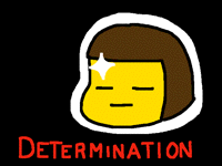 DETERMINATION
