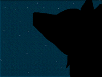 ~~º Night º~~