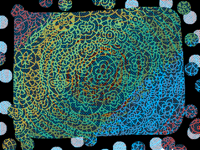 Background (1)