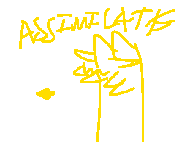 Lemons