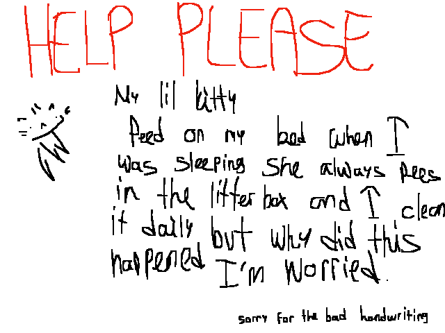 Help me i searched it in google but i need more
