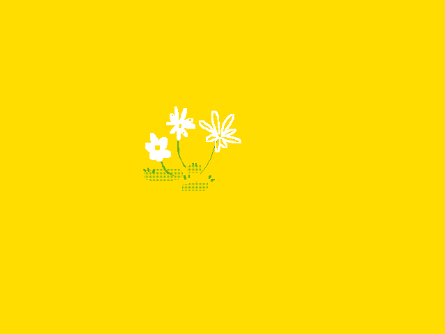 daisies