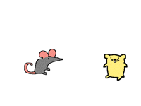 Animal fight club:Rat v Rhino