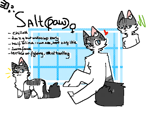 New salt bab