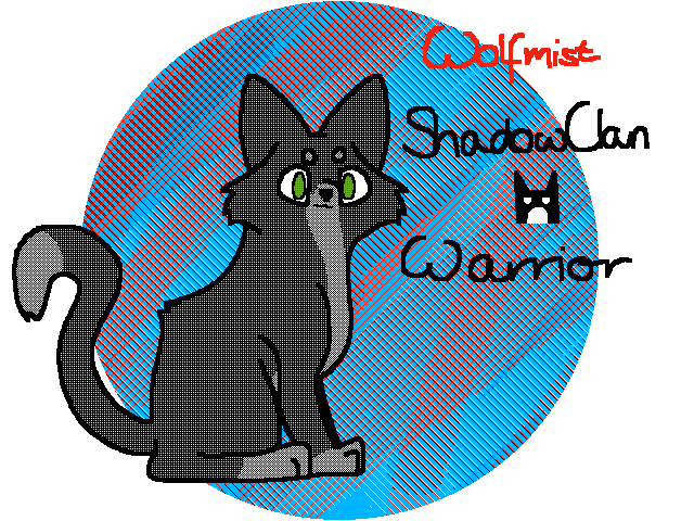 Warrior cats Contest
