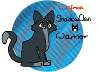 Warrior cats Contest