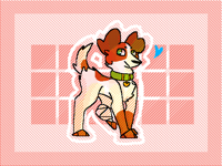 Doggo done an ouchie