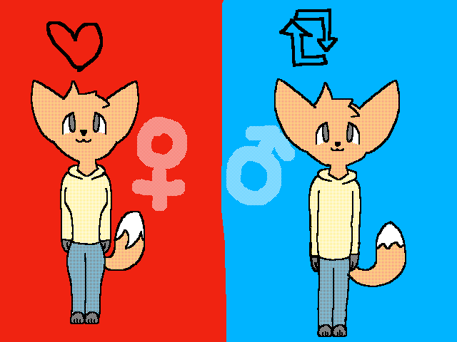 Female or Male