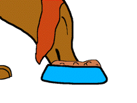 Dog food