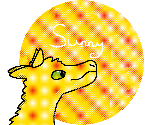 Sunny