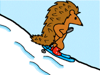 Skiing hedgehog 🦔