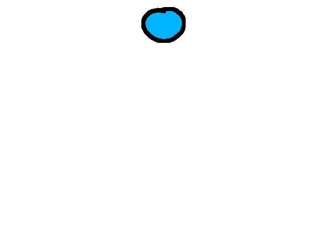 Bouncy ball