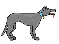 Greyhound